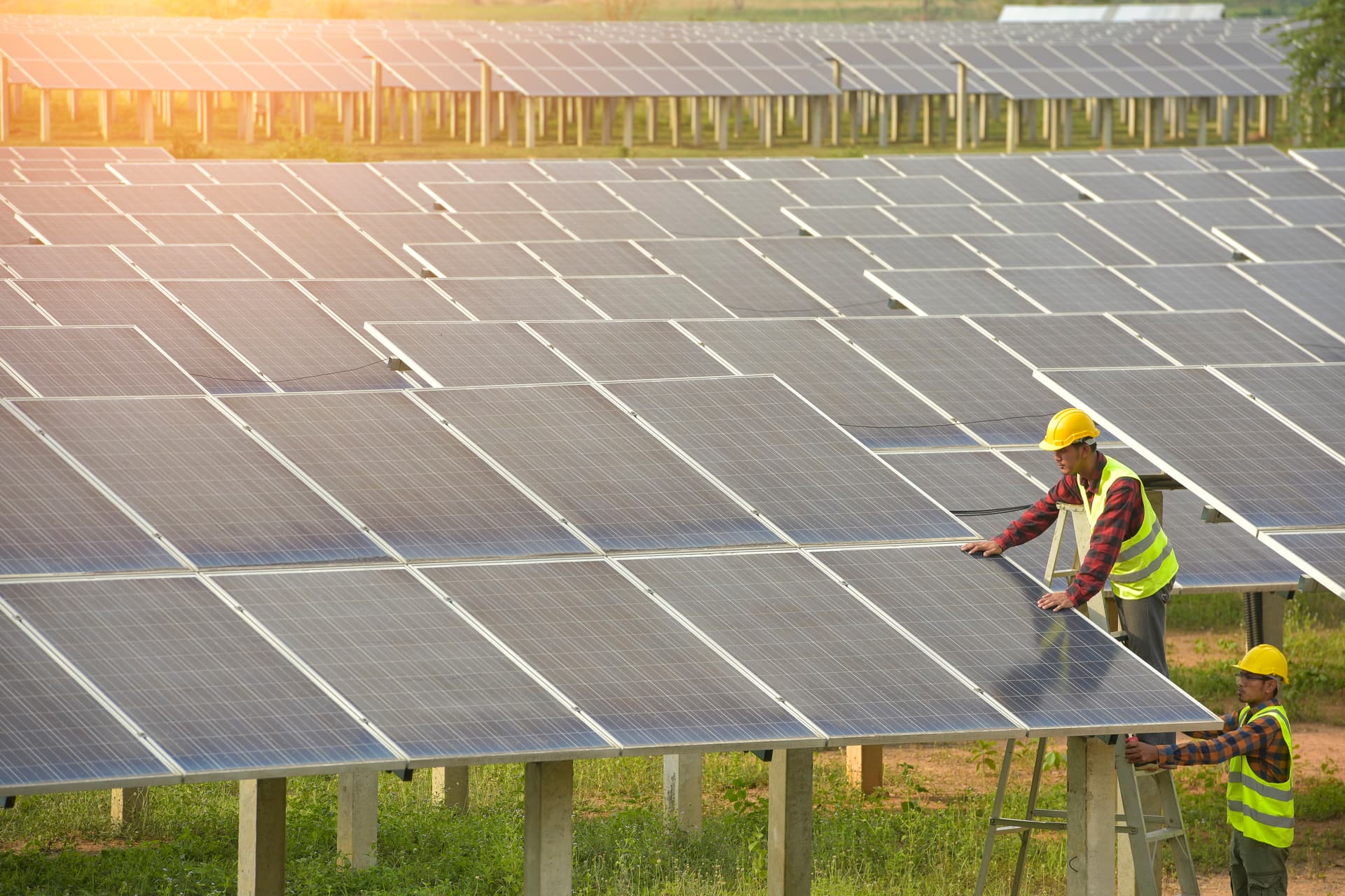 A solar alliance